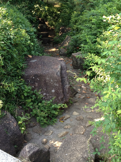 小さいけれど人口の滝もある憩いの公園 / 西郷山公園_c0249236_1635778.jpg