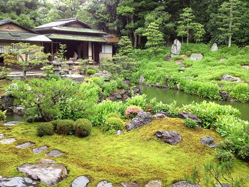 半化粧（半夏生）の咲くお寺~建仁寺塔頭『両足院』~_d0221844_9314429.jpg