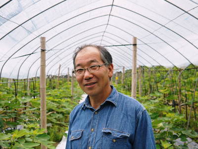 小春農園 無花果(イチジク)ハウス_a0254656_1651363.jpg