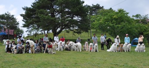 広島　仙養ヶ原お試しのお泊り会～♪_a0201257_22524752.jpg