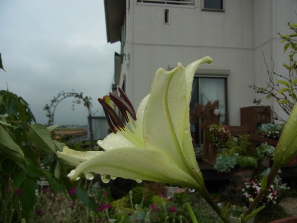 b0194267_19175464.jpg