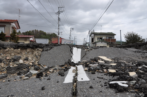 被災ネコが一生暮らせる“ホスピス”を~原発20キロ圏内の猫保護救出_e0171573_21162567.jpg