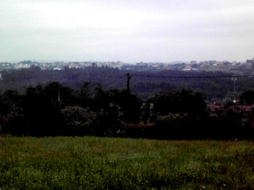 a0268274_1022862.jpg