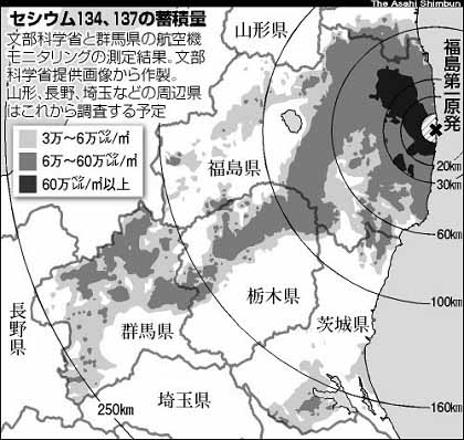 感謝と決意　にわやま由紀_c0139575_2215294.jpg