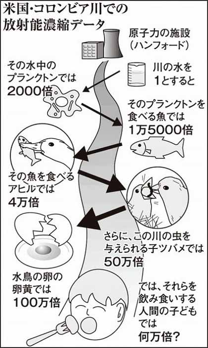 感謝と決意 にわやま由紀_c0139575_23314632.jpg