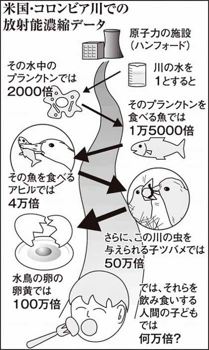 感謝と決意　にわやま由紀_c0139575_23314632.jpg