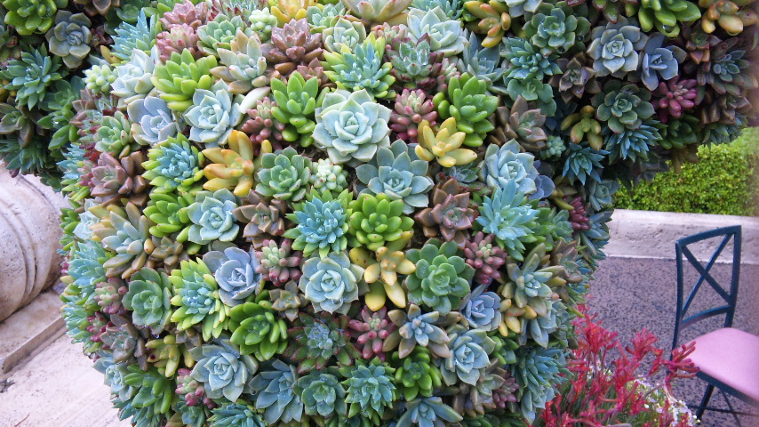 f0200477_19513542.jpg
