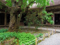 高城山から水分神社_c0051781_19532725.jpg