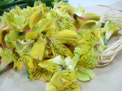 f0238081_1265250.jpg