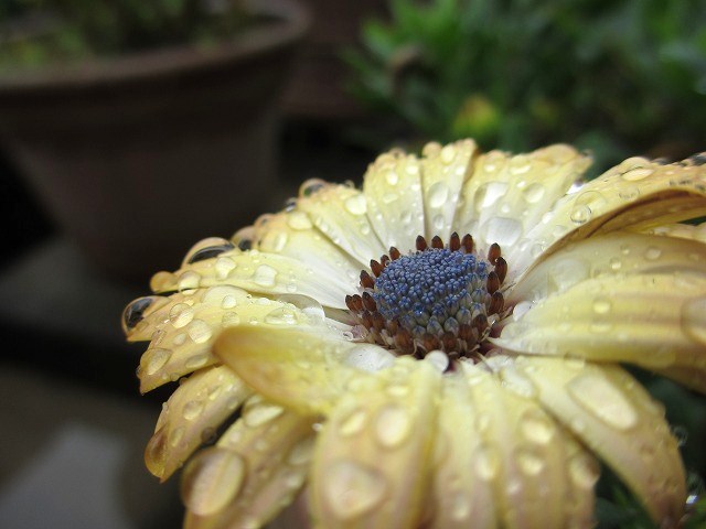 b0182884_211319.jpg