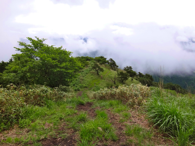 2012/06/20 Trail Session in 段ヶ峰_b0220886_10565750.jpg