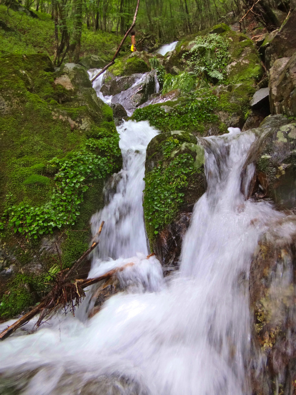2012/06/20 Trail Session in 段ヶ峰_b0220886_1122228.jpg