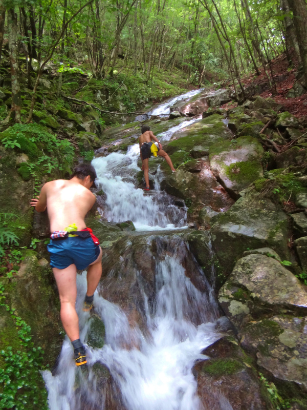 2012/06/20 Trail Session in 段ヶ峰_b0220886_1122374.jpg