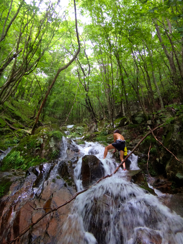 2012/06/20 Trail Session in 段ヶ峰_b0220886_1122799.jpg