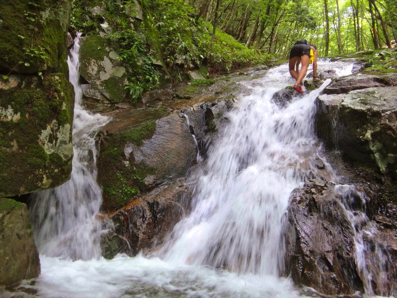 2012/06/20 Trail Session in 段ヶ峰_b0220886_11231531.jpg