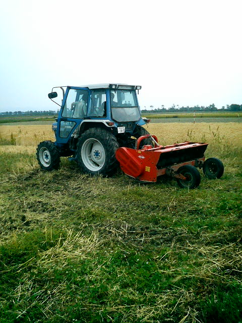 f0160897_1625530.jpg