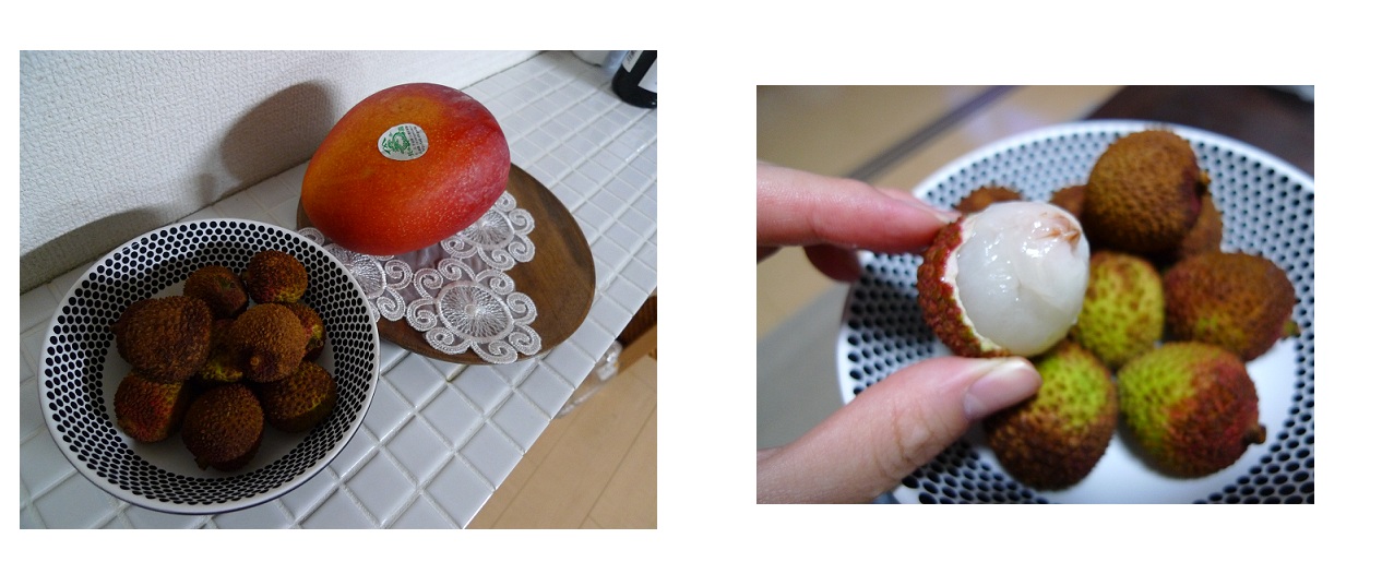 たけのこ_a0188798_20221841.jpg
