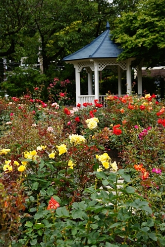 b0145398_22515544.jpg