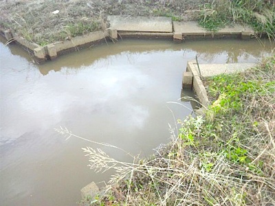f0082402_2374429.jpg