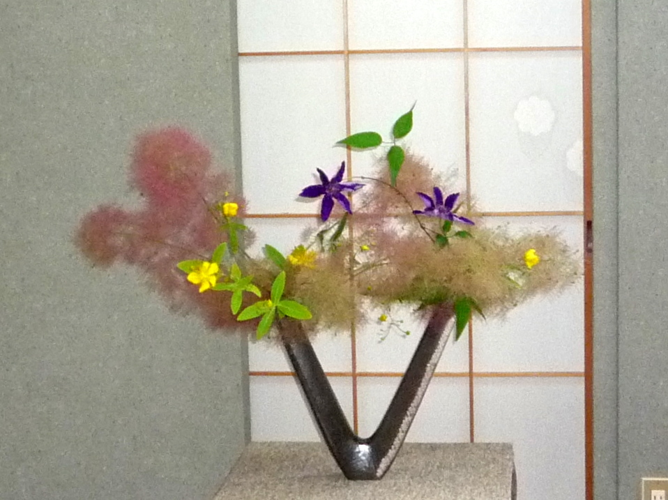 今盛りのスモークツリーで自由花 21日 長女yのつれづれ記 今盛りのスモークツリーで自由花 21日 長女yのつれづれ記
