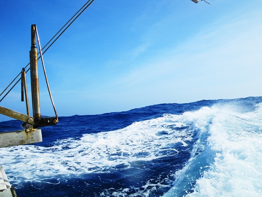 e0123808_0361243.jpg