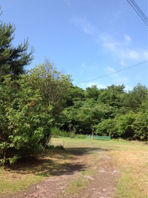 晴れ、天気いいです‼_e0179508_9321578.jpg