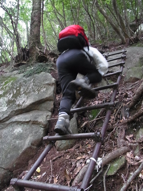 難所の連続!大崩山登山_d0116009_713321.jpg