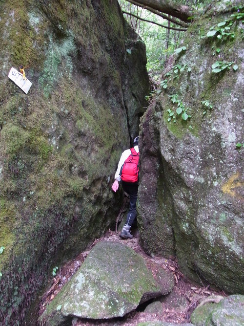 難所の連続!大崩山登山_d0116009_720509.jpg