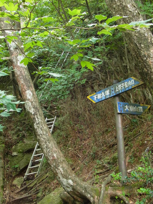 難所の連続!大崩山登山_d0116009_7265131.jpg
