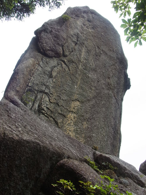 難所の連続!大崩山登山_d0116009_8264177.jpg