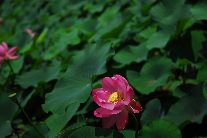 観光に県や市の境はないよね。_d0047811_1411142.jpg