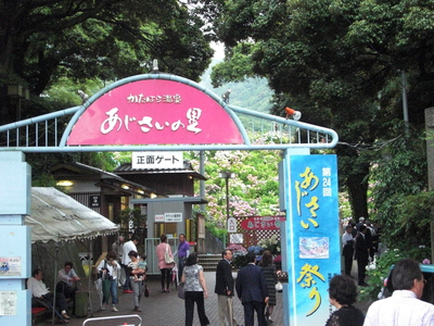 a0238324_1047333.jpg