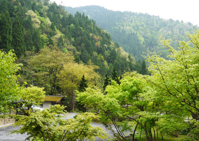 b0035734_1658150.jpg