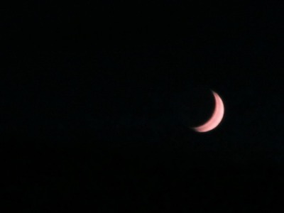 f0223234_21433782.jpg