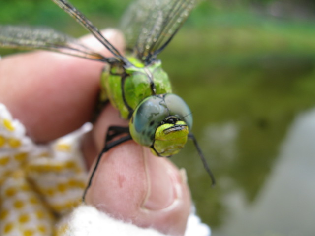 f0214235_0101562.jpg