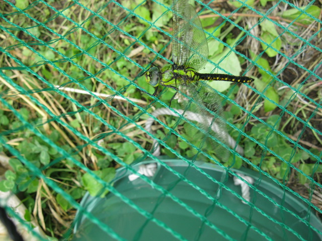 f0214235_0122078.jpg
