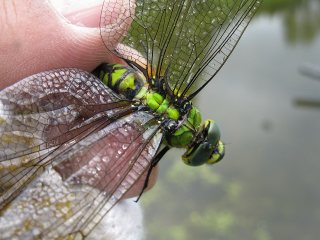 f0214235_0141175.jpg