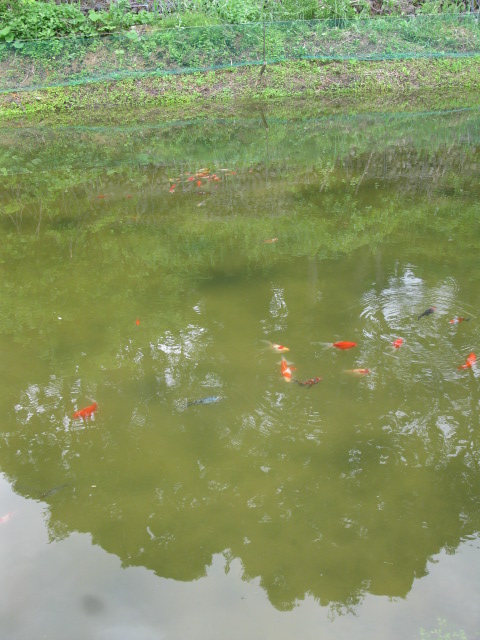 f0214235_015465.jpg