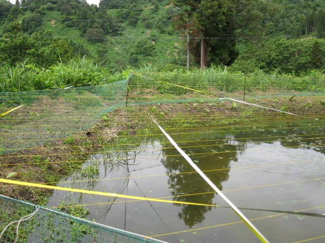 f0214235_017157.jpg