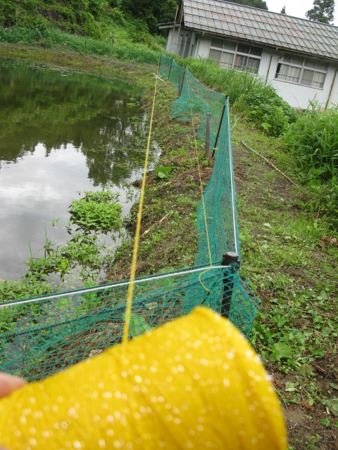 f0214235_051276.jpg