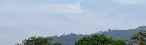 b0063436_13394055.jpg