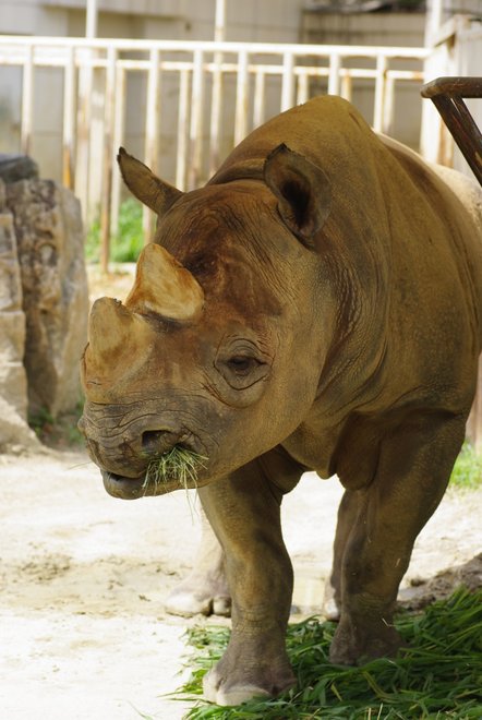 動物園に行ってきました～！_e0171336_22401245.jpg