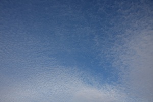 e0156339_14144378.jpg