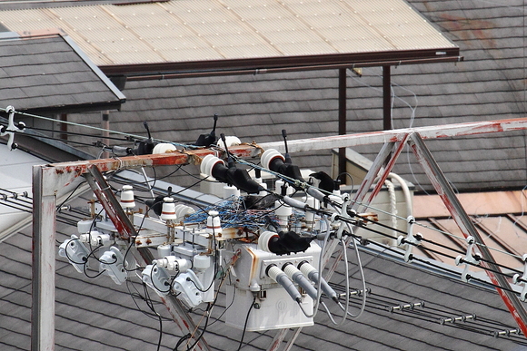 f0204639_2053717.jpg