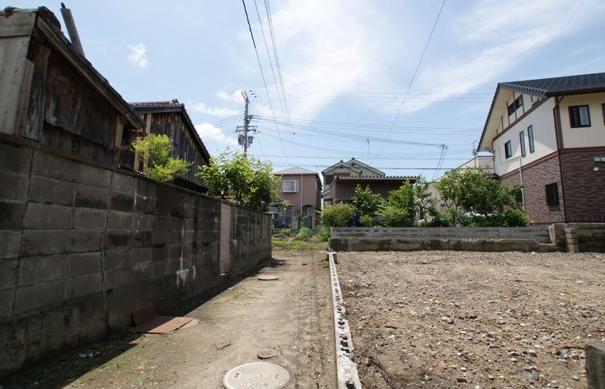 樹海の奇跡_f0115152_14305266.jpg