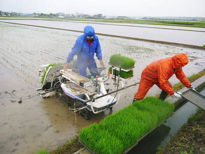 砂田米 田植え取材 その1_a0254656_15274522.jpg