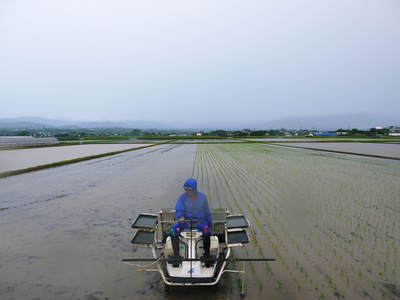 砂田米 田植え取材 その1_a0254656_1582527.jpg