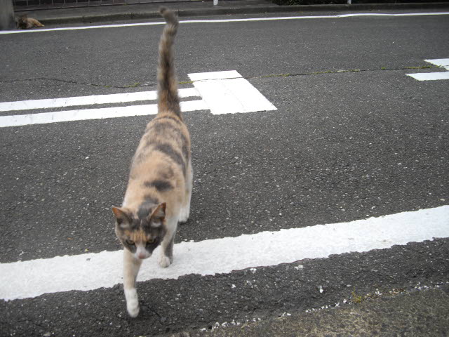 d0116059_21402927.jpg