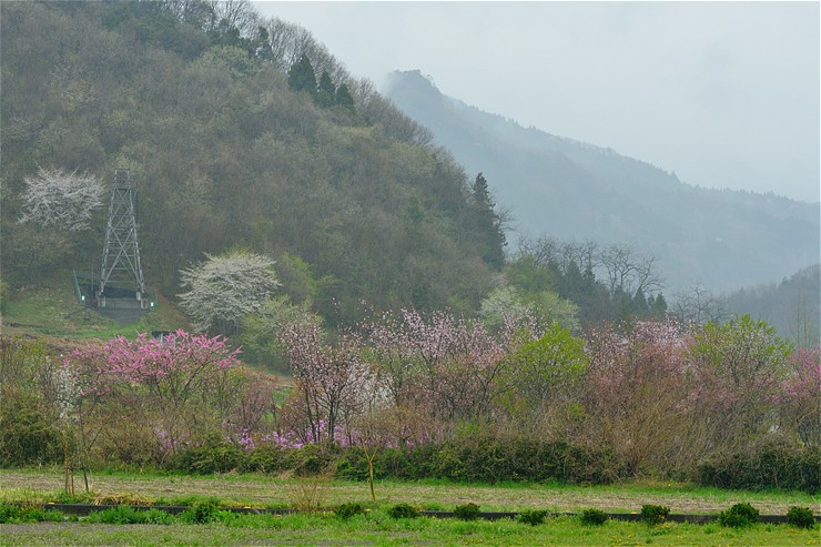 f0222161_1481430.jpg