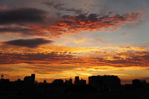b0060363_233556.jpg